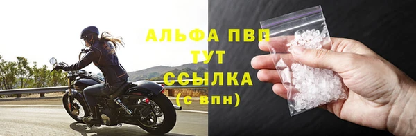 ПСИЛОЦИБИНОВЫЕ ГРИБЫ Дмитров